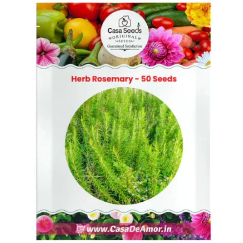 What herbs grow best from herb seeds | Casadeamor