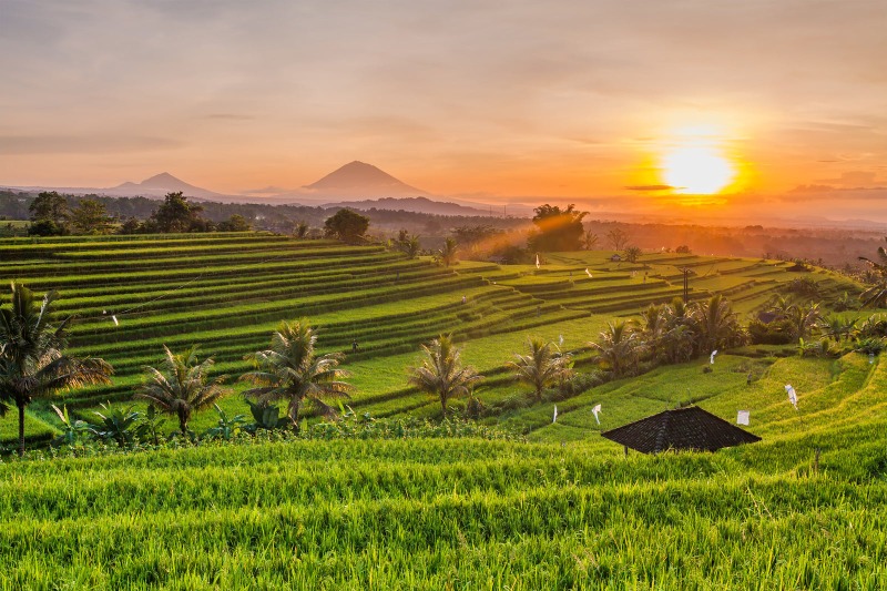 Top 50 Bali Tour Packages