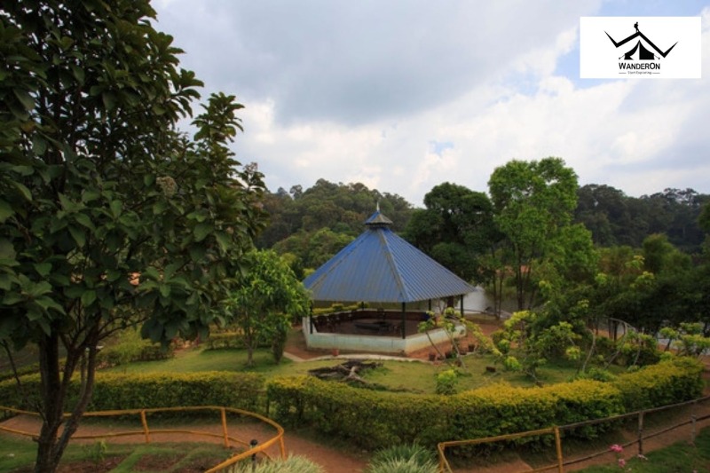 Kerala Odyssey: Embark on a Memorable Trip with Our Customized Tours