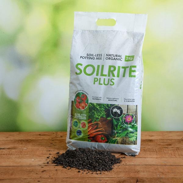 Best Soilless Potting Mix | Indoor Gardening Product â€“ Keltech Energies