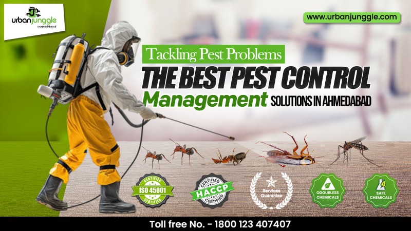 The Best Pest Control Management Solutions in Ahmedabad