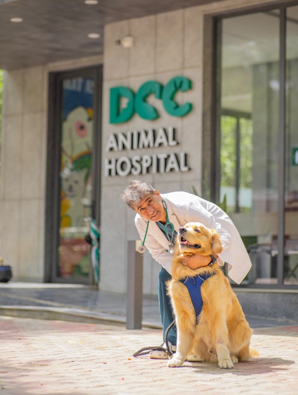 DCC Animal Hospital - Best Pet Clinic in Delhi NCR
