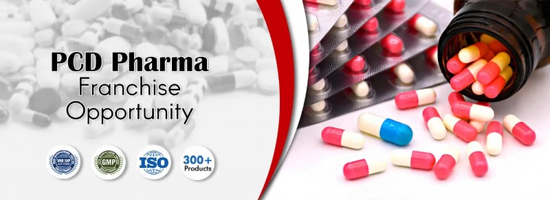 Best Pharma Franchise Company in India