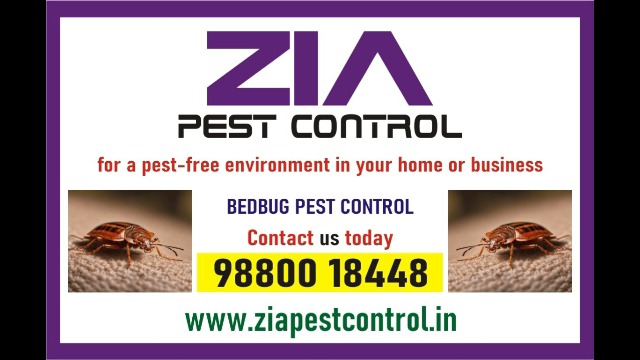 Pest Control service | effective bedbug treatments Bangalore | 1865