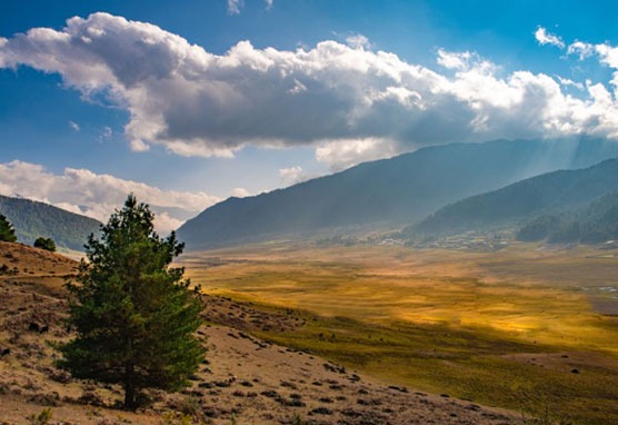 Bhutan Tour Packages from Guwahati airport