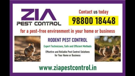 Rodent Pest Control | prevent the entry of rats and mice into your property | 5043