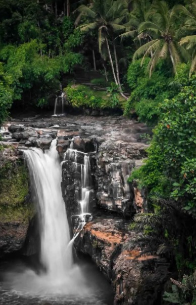 Explore Godâ€™s Own Country with Travel Hope