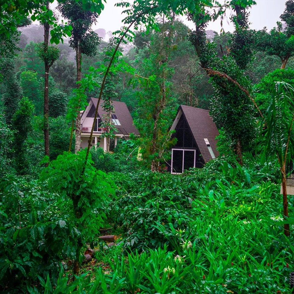 Short Stay & Vacation Rentals