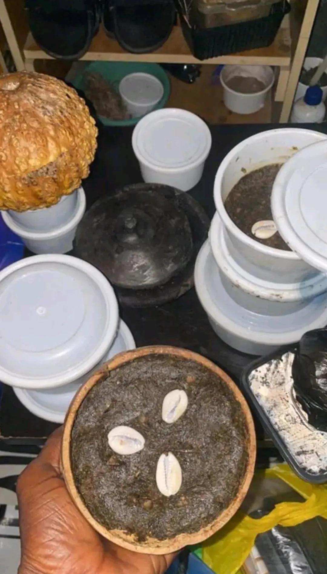 Real Estate Services