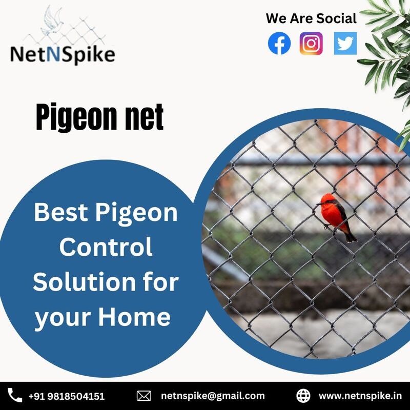 Pigeon Net Solutions by NetNSpike: Protect Your Space