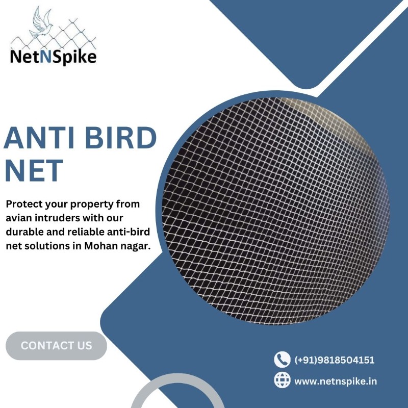 Secure Your property with an anti-bird net in Mohan nagar