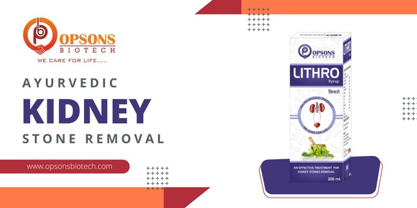 Best Ayurvedic Kidney Stone Removal Syrup