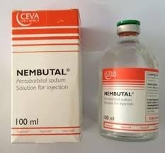Nembutal pentobarbital for painless exit