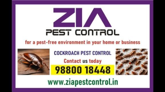 Bangalore Pest Control | Cockroach Pest Service Up to 50% Off | Residence | 9010